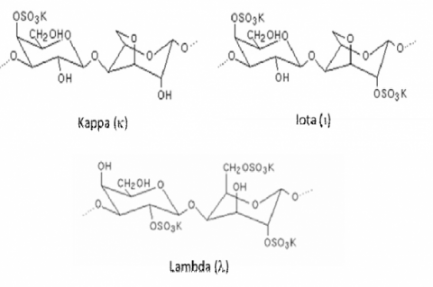 Chemical structures of carrageenan 