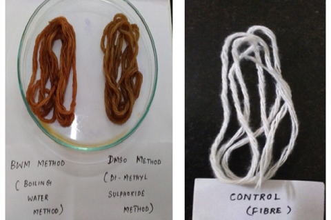 Comparison of the control fibre (undyed) with that of the dyed fibre
