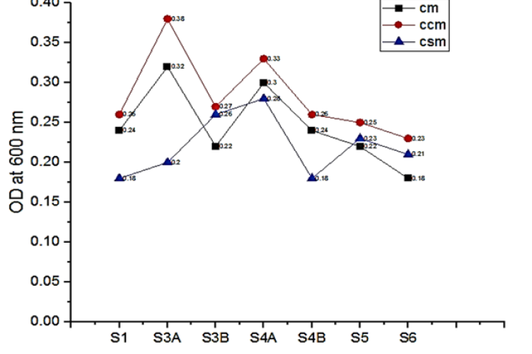 Growth rate of chitinase positive strains on different medium used.