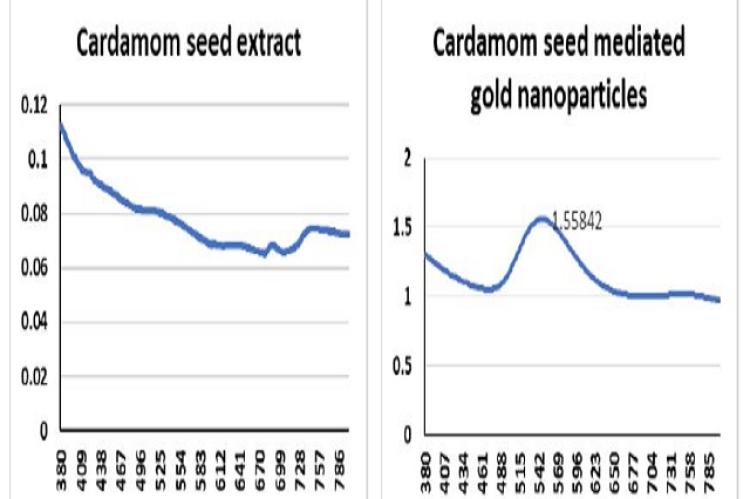 UV Vis spectrum of Elettaria cardamomum seed extract and its gold nanoparticles.