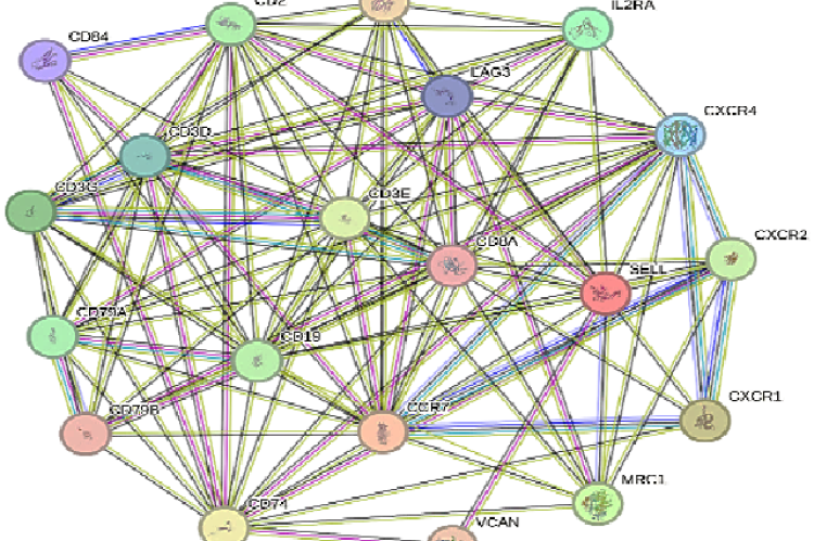 PPI interactions of top 20 HUB Genes interacting proteins in stringbase. Number of Nodes : 20, Number of Edges : 118, Average Node Degree:11.8, Avg. Local Clustering Coefficient : 0.777, Expected Number of Edges : 12, PPI Enrichment p-value : < 1.0e-16.
