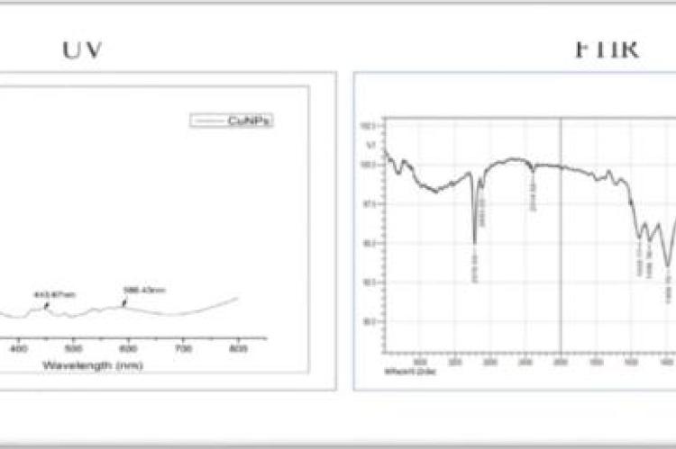 UV-visible spectra and FTIR spectrum of green synthesised CuNPs with H. indicus