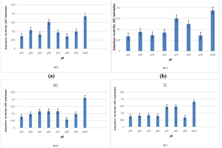 Shows the effect of different pH on synthesis of amylase enzyme by isolate A1 (a), G2 (b), M1 (c) and isolate S2 (d) respectively