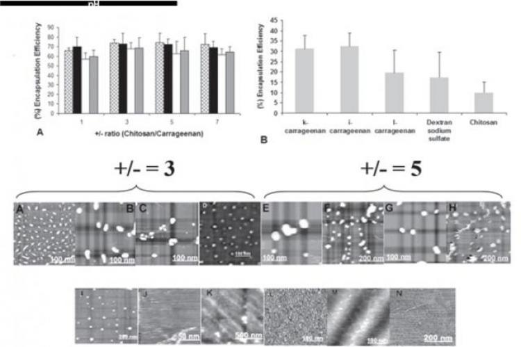 Efficiency of chitosan/carrageenan complex and single polymers 