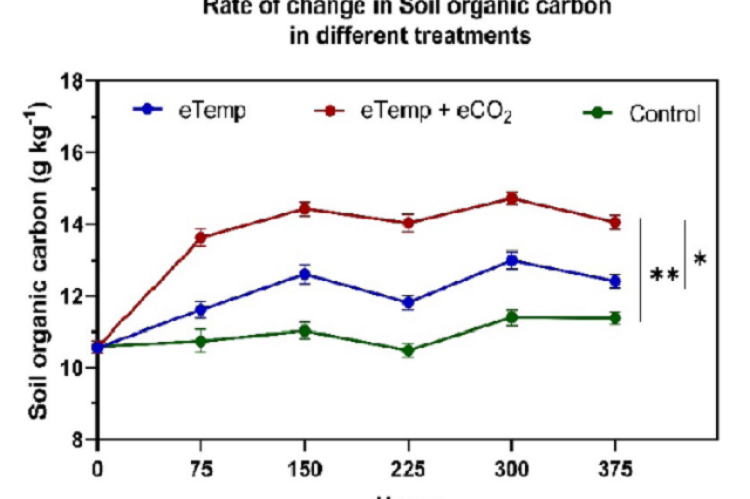 Rate of change in soil organic carbon (SOC) in tea rhizosphere soil after 375 hr of treatment in the three different treatments.