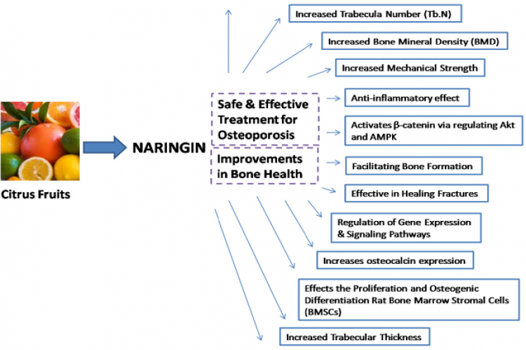 General presentation showing beneficial effects of