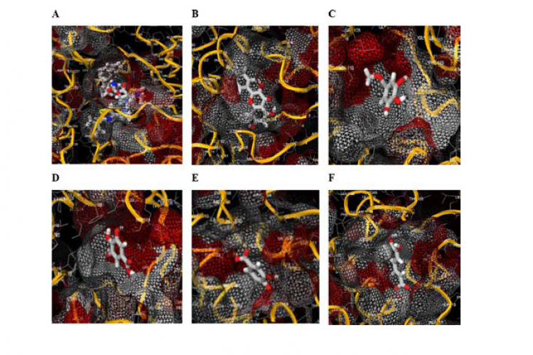 Protein surface view of CYP3A4 crystal-docked structure with the different putative AMCLE compounds