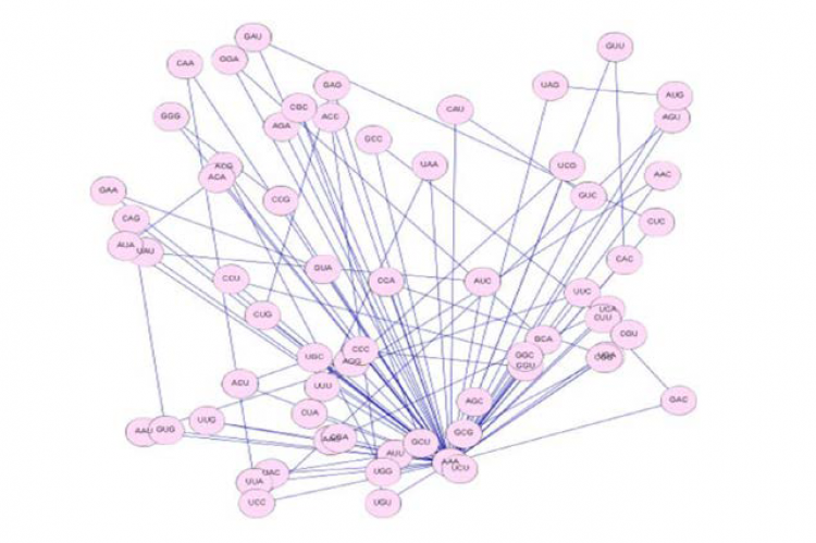 Identity graph of the 64 codons.