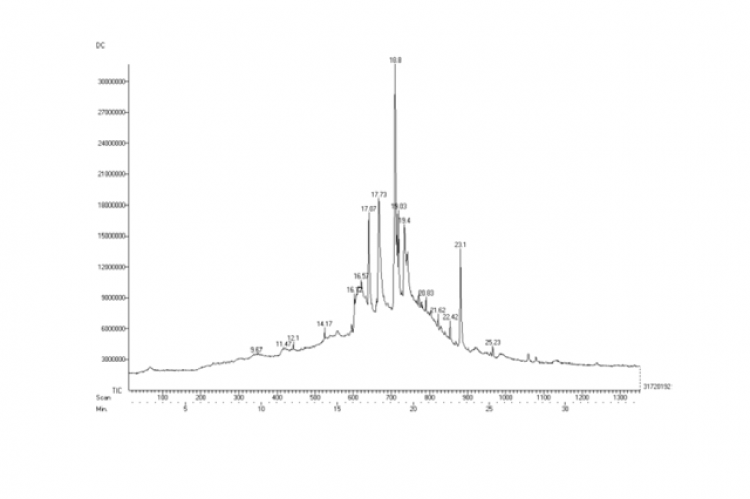 Major bioactive compounds detected in cooked BTB extract using GC-MS analysis