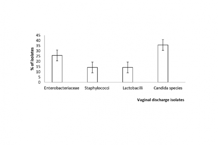 Percentage of vaginal discharge isolates.