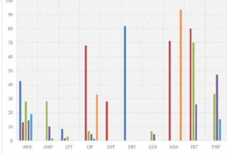 Antimicrobial resistance (% of resistant) of most Salmonella isolates in South Asia.