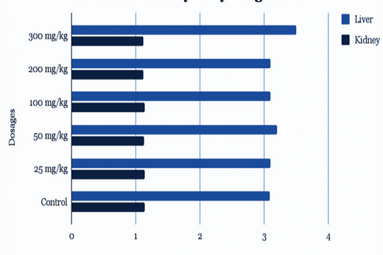 Liver and kidney to Total Body Weight Ratio.