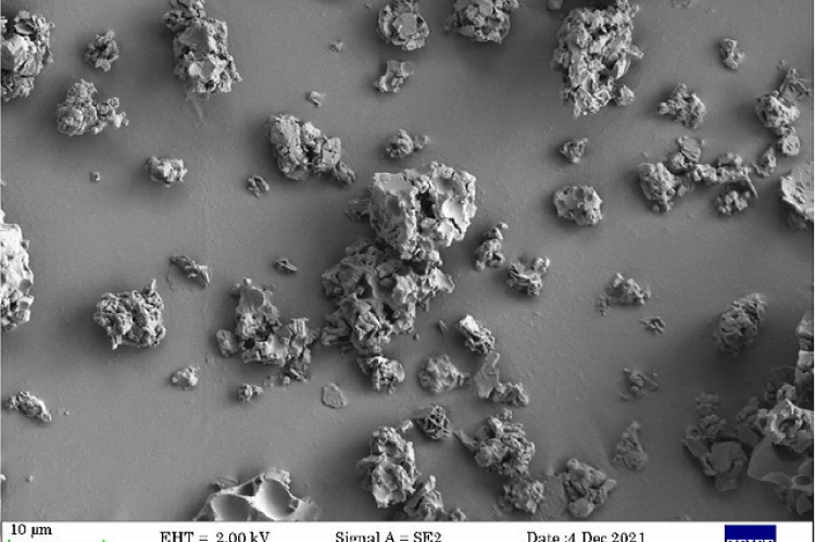 The nanosponges view under 3.50 K X magnification (10 μm).