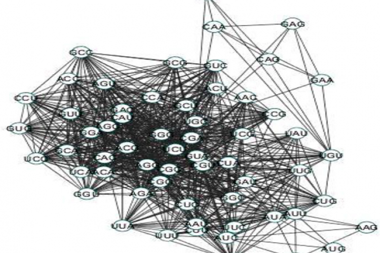 Codon Networks.