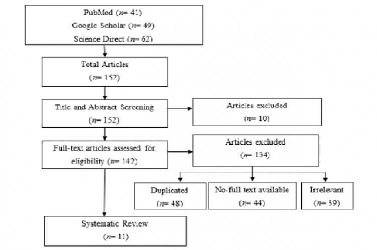 Flowchart of the literature search process.