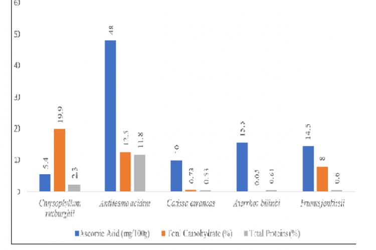 Comparision of Ascorbic acid content, total carbohydrate and total protein in the fruit pulp of C. roxburghii, A. acidum, C. carandas, A. bilimbi and