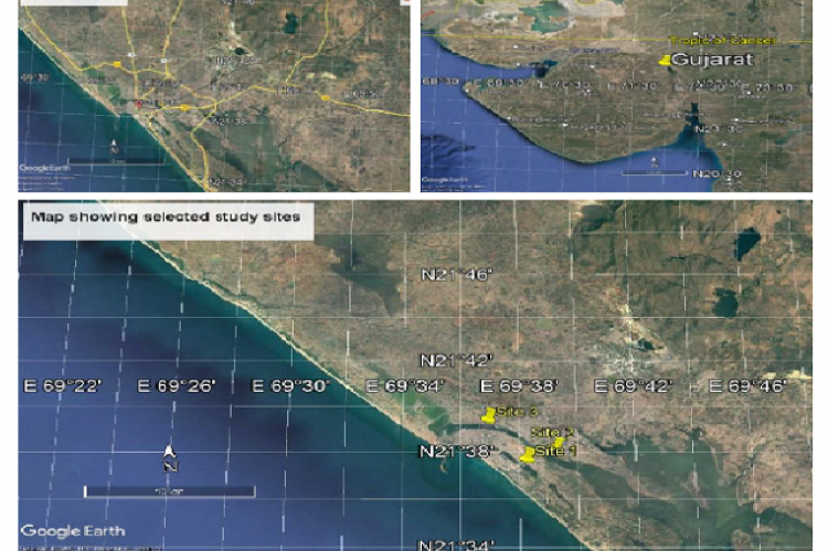Location of selected sites of study: Porbandar, Gujarat, India (Source: https://earth.google.com/web/).