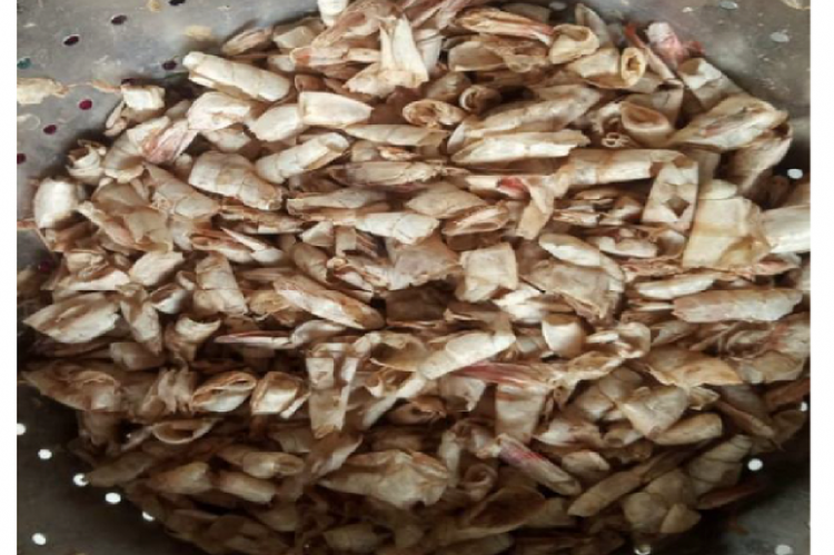 Prawn shells dried in the sunlight.