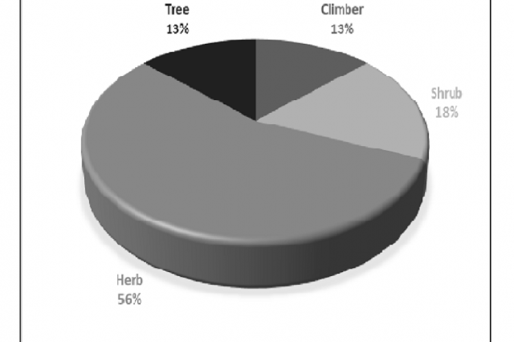 Percentage of life-forms identified to have medicinal importance.