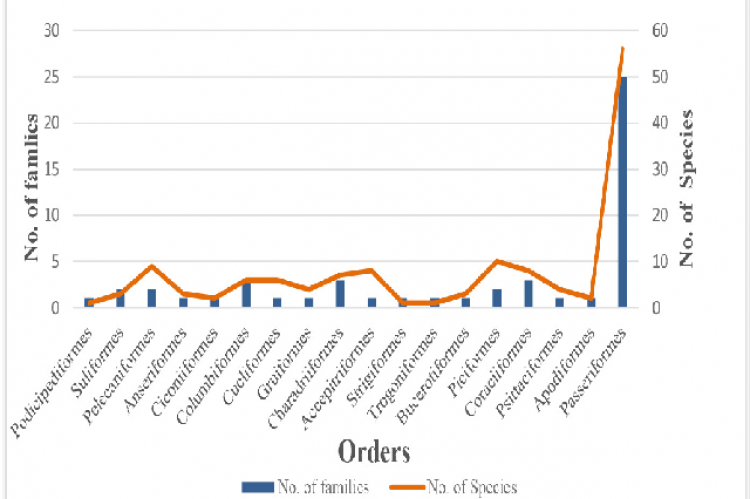 Order wise distribution of Avian fauna.