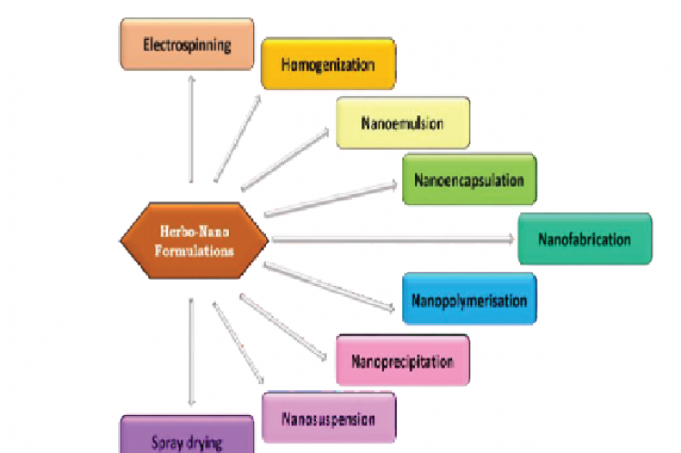 Schematic representation showing the methods for preparation of herbal nano-formulations