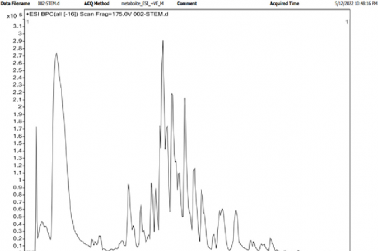 LCMS chromatogram of stem extract in positive mode.