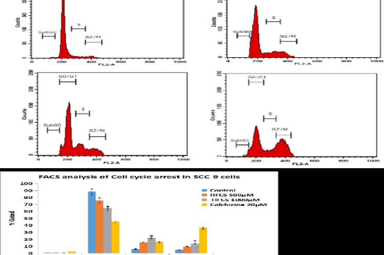 A) Effect of HFCS on cell cycle distribution in SCC-9 cells was detected by flow cytometry. Cell cycle distributions of vehicle control and HFCS with 