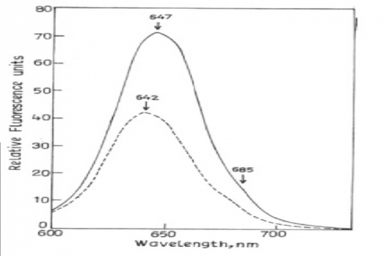 Effect of cold stress (10°C) on PC fluorescence emission spectra of intact cells of Spirulina.