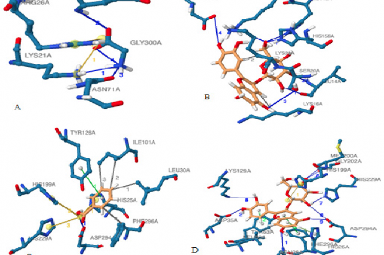 Binding interactions of exfoliative toxin A (PDB: 1EXF) with ligands A– GLY and B– C3G and amidohydrolase (PDB: 3RHG) with ligands C– BEZ and D– C3G