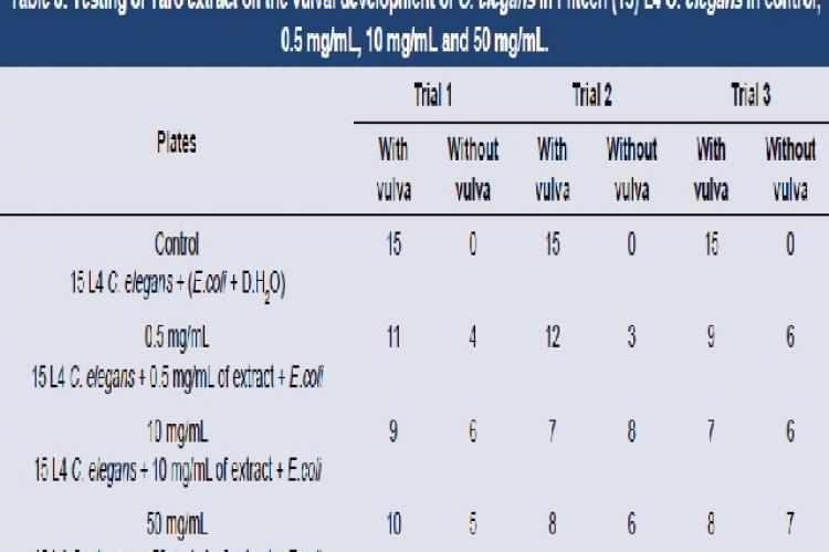 Testing of Taro extract on the vulval development of C. elegans in Fifteen (15) L4 C. elegans in control, 0.5 mg/mL, 10 mg/mL and 50 mg/mL.