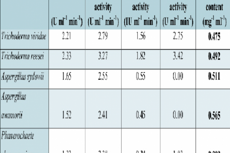 Enzyme activity of crude extract obtained from different cellulolytic fungi. 