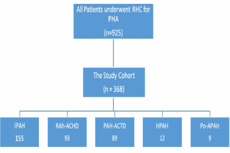 The Distribution of the Study Cohort