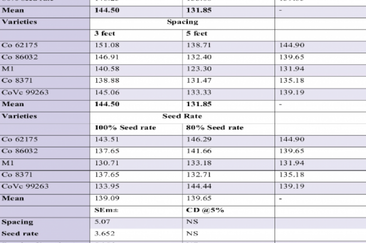 Cane yield (t/ha) with sugarcane varieties as influenced by wide row spacing 