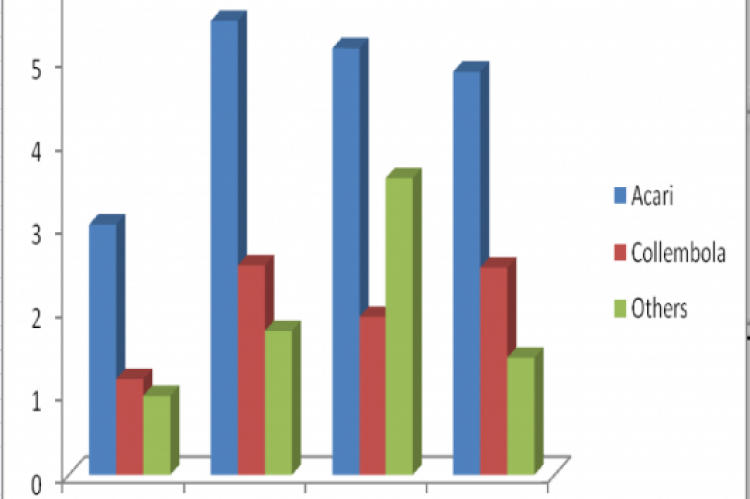 Variation in over-all percentage abundances of major groups of soil microarthropods at S1.