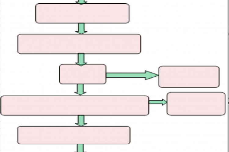 Flow diagram of CNSL extraction by screw press