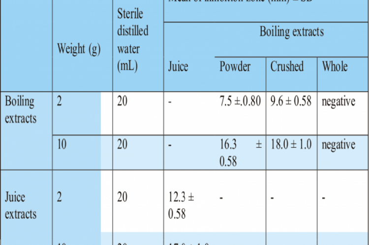 Antibacterial activity of juice and boiling garlic extracts on E. coli K12 