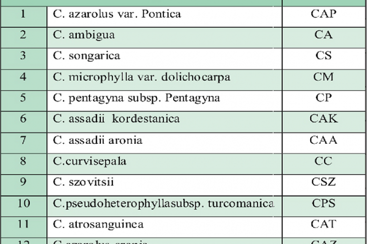 Toxicity of thevariousleafextracts of P. griseatothebrineshrimpA. salina