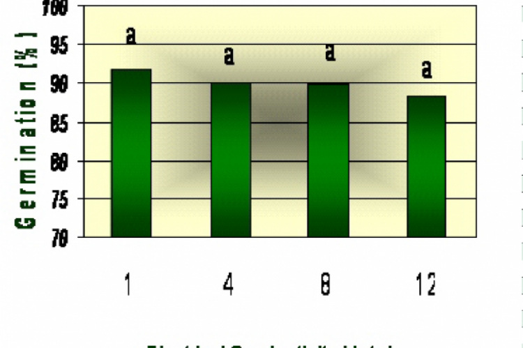 Effect of salt stress on maize germination percentage 