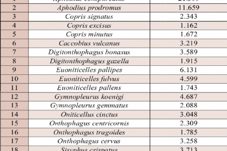 Relative abundance of different species of dung beetles