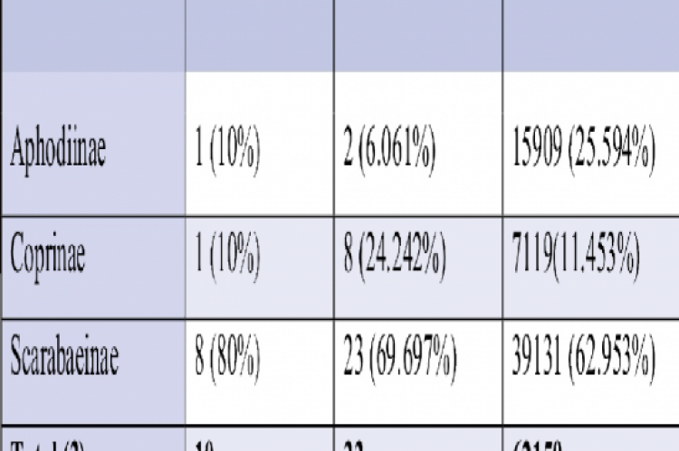 Total number, percentage of genus, species and individuals.