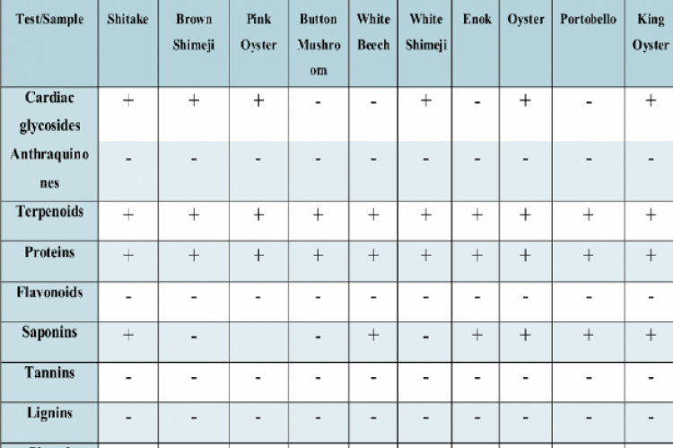 Preliminary phytochemical analysis of screened mushroom samples