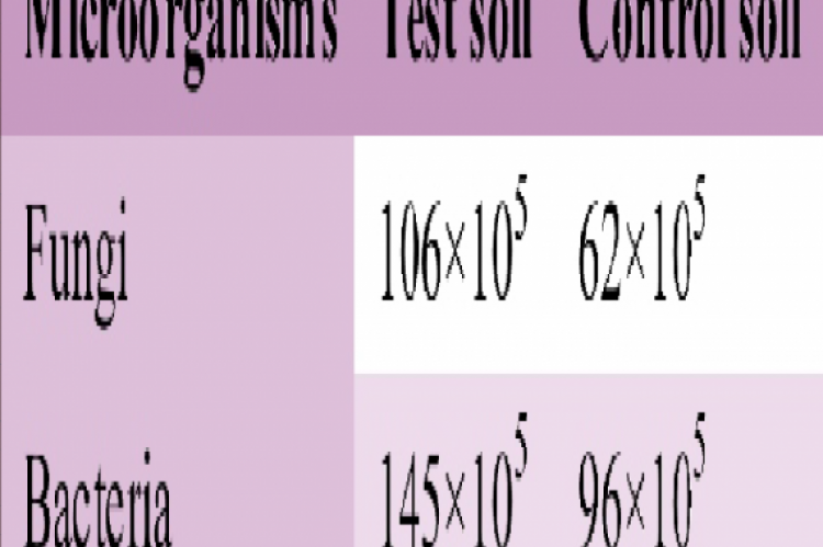 Physico-chemical properties of soil contaminated with/without paper effluents 