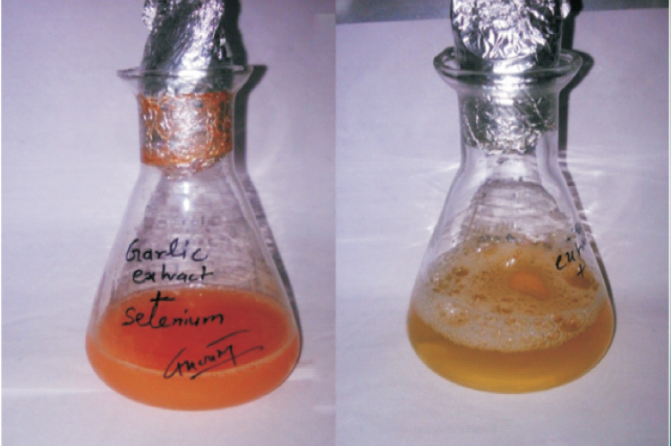 Color change of reaction medium