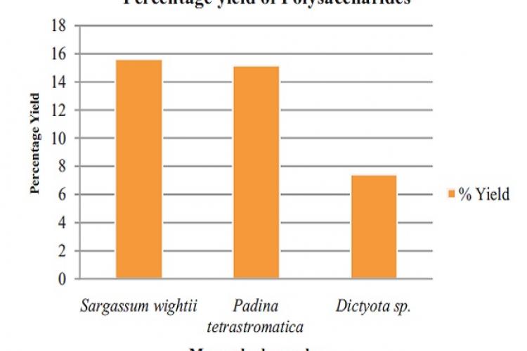 Percentage yield of polysaccharide from Macroalgae.