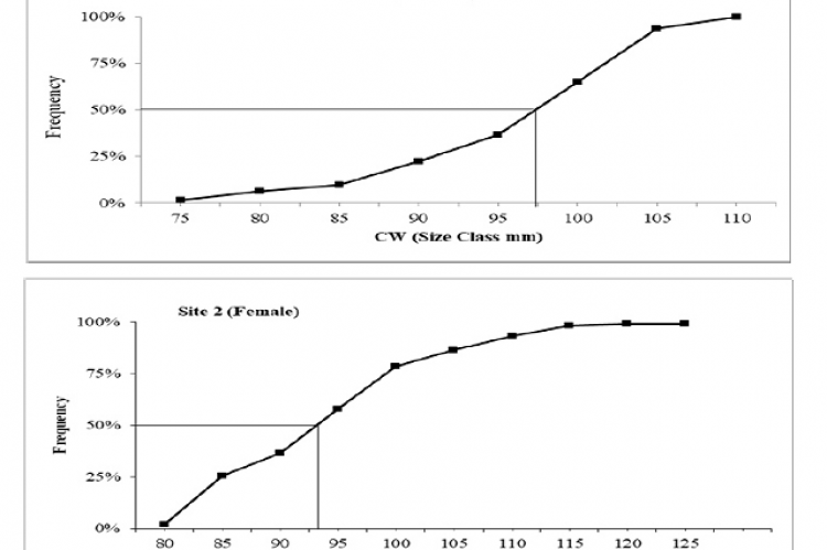 Estimation of percent of mature females mud crab (S. serrata) as a function of CW (50%) of cumulative frequency at 97.5 mm from site 1 and 94.00mm from site 2. 