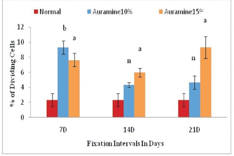 Frequency distribution of mitotic index (MI) of bone marrow cells in different series of mice at different fixation intervals (7D, 14D and 21D).