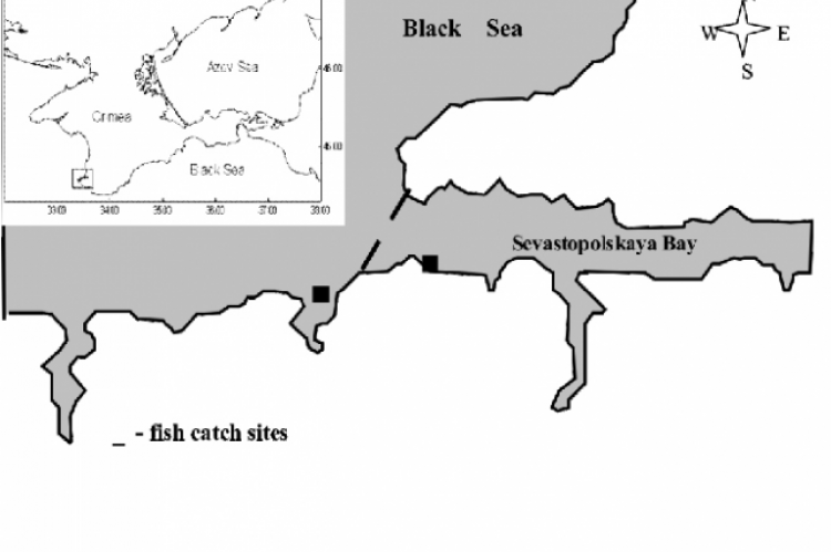 Sampling sites in Sevastopol Bay 