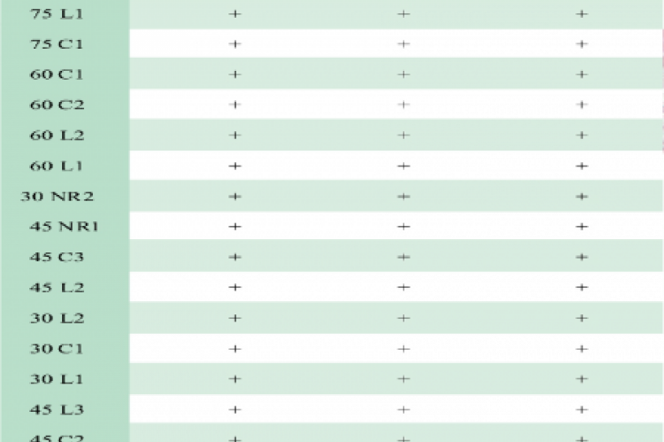 Biochemical tests of the selected isolates of Azospirillum  spp