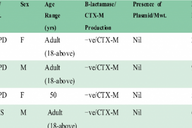 Epidemiological pattern of distribution of patience data and molecular analysis 