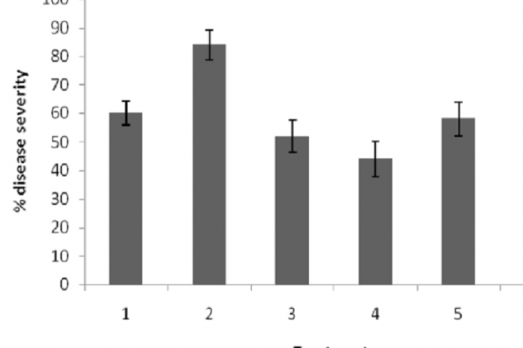 % disease severity in treated tomato plants